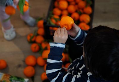 High angle view of girl holding oranges