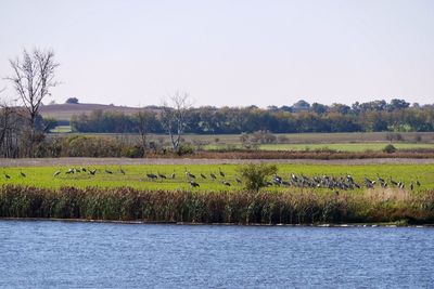 Scenic view of lake