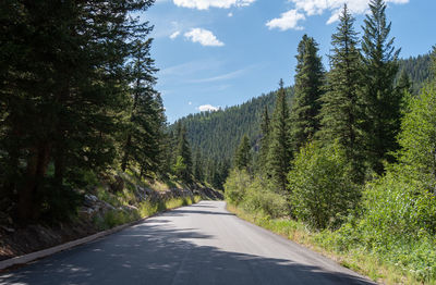 Road amidst trees against sky