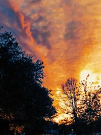 Low angle view of silhouette tree against sky during sunset