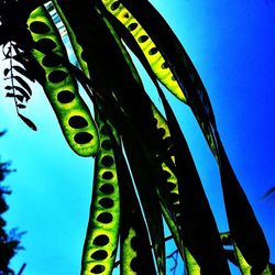 Low angle view of tree against blue sky