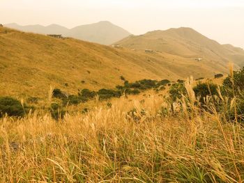 Scenic view of landscape against sky