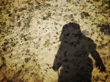 Low section of person standing on sand