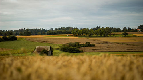 Scenic view of farm against sky