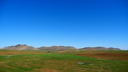 Scenic view of field against clear blue sky