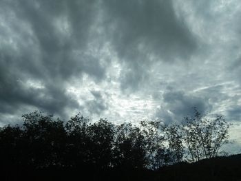 Low angle view of silhouette trees against sky