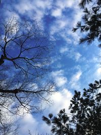 Low angle view of silhouette trees against blue sky