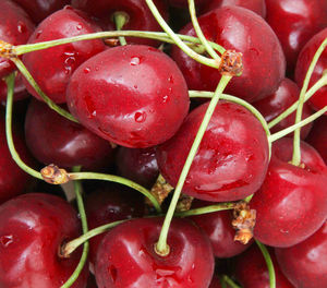 Close-up of wet red berries