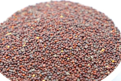 High angle view of beans on white background