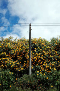 View of field against cloudy sky