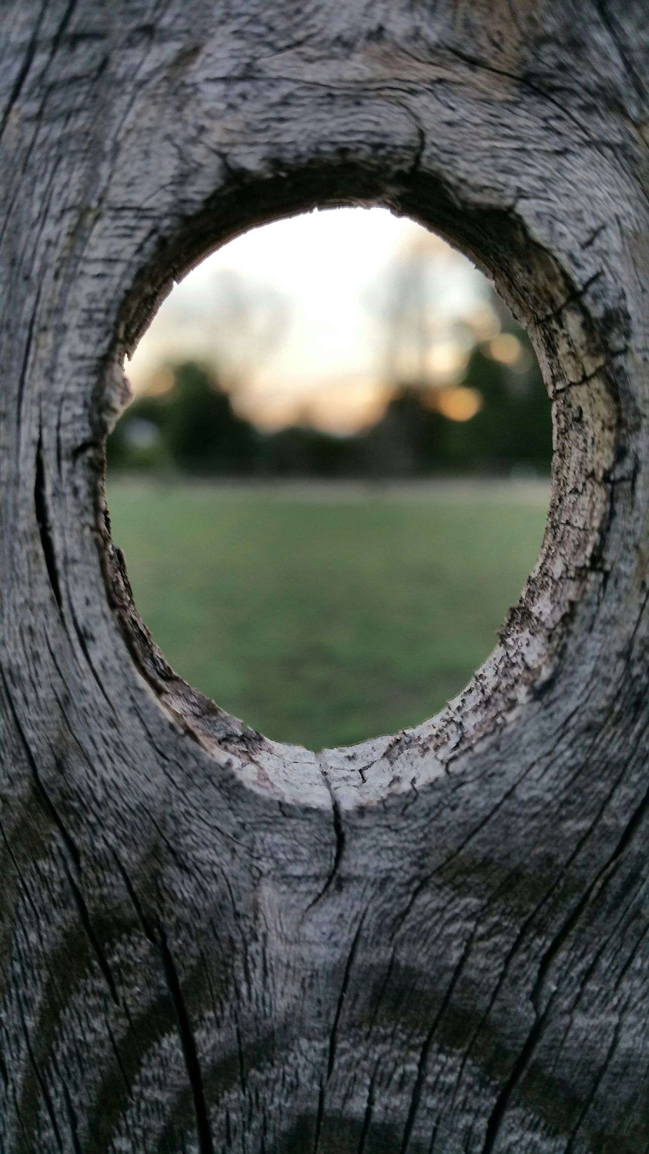 Hole in fence