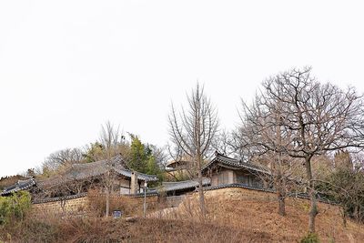 Bare trees by old building against clear sky