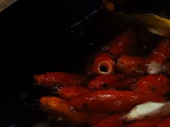 Close-up of crab in water