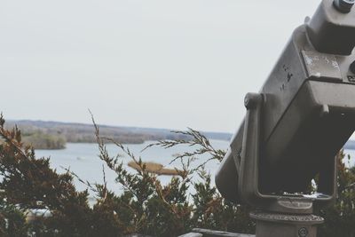 View of tree against clear sky