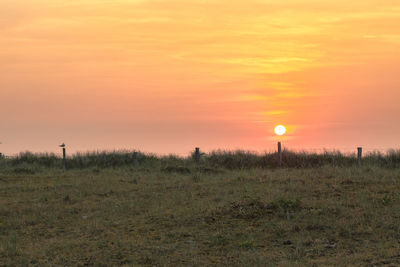 Scenic view of field against sky during sunset