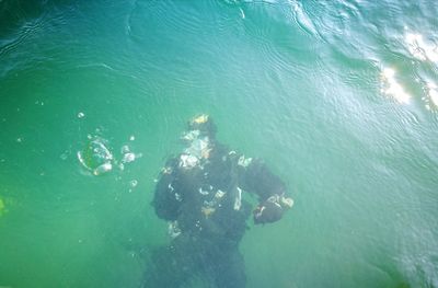 High angle view of man swimming in sea