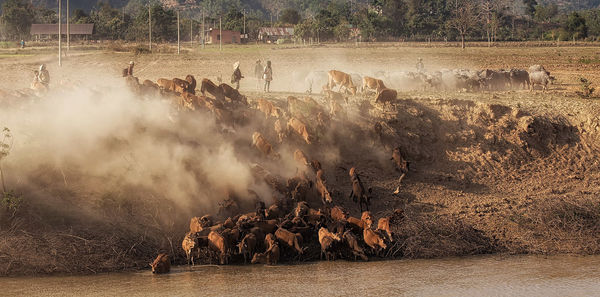 Panoramic shot of people on landscape