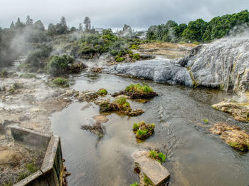 A river flows through natural hot springs in rotorua