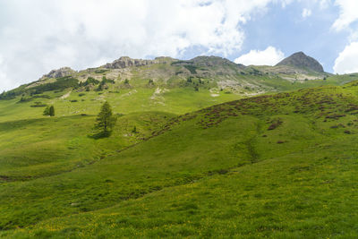 Scenic view of landscape against sky