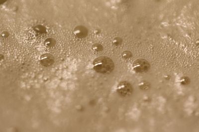 Close-up of water drops on glass