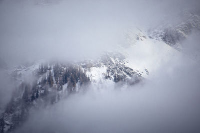 Majestic foggy mountains. zugspitze in winter season. 