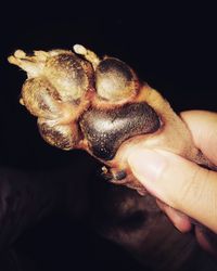 Close-up of man holding hand over black background