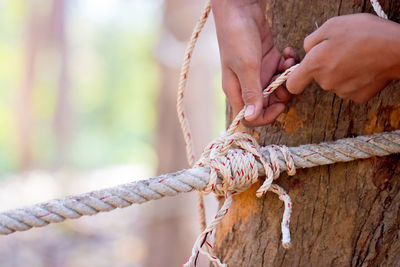 Close-up of hand tying rope on tree trunk