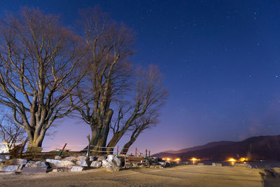 Bare trees against sky at night