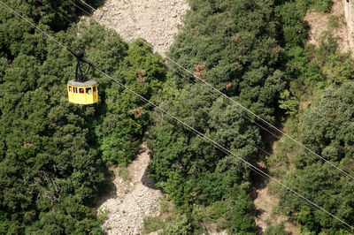 Overhead cable car amidst trees in forest
