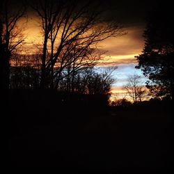 Silhouette of trees at sunset