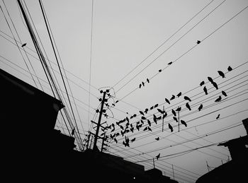 Low angle view of silhouette birds flying against sky