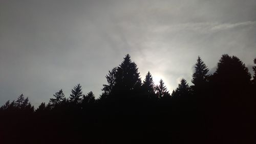 Low angle view of silhouette trees against sky