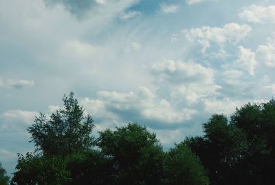 Low angle view of trees against cloudy sky