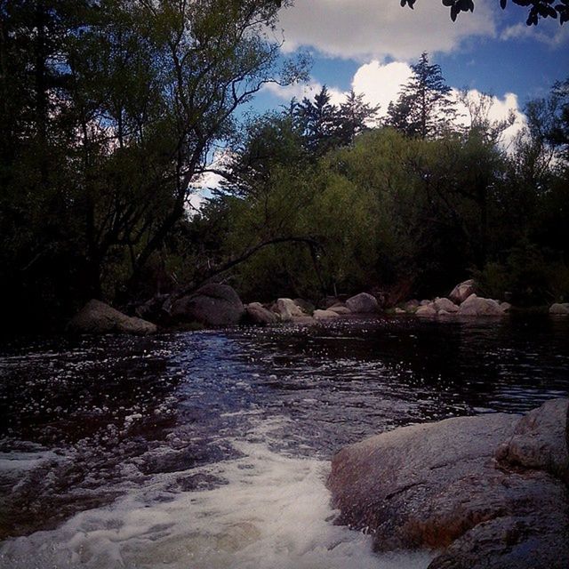 water, tree, beauty in nature, tranquility, tranquil scene, scenics, sky, nature, river, waterfront, cloud - sky, growth, lake, forest, idyllic, rock - object, non-urban scene, day, outdoors, flowing water