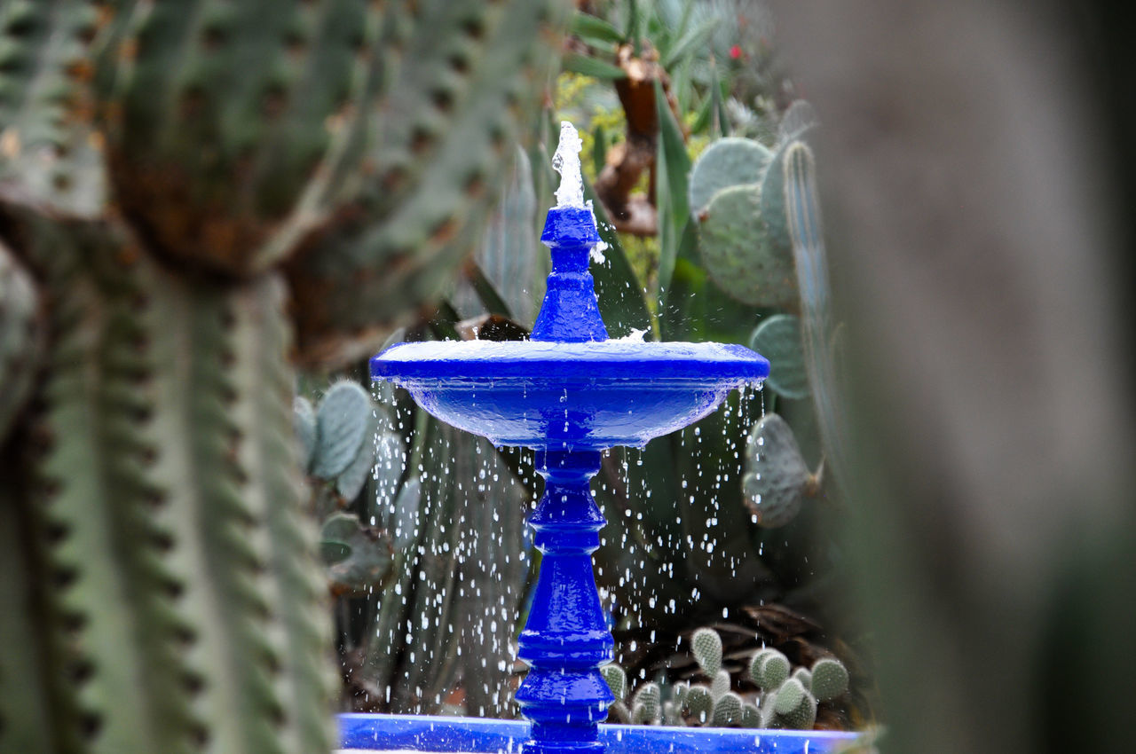 CLOSE-UP OF POTTED PLANTS IN FOUNTAIN