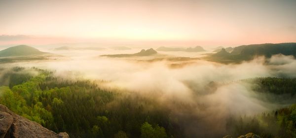 Landscape misty panorama. fantastic dreamy sunrise on rocky mountains with view into misty valley