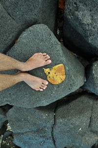 Low section of person standing on rock