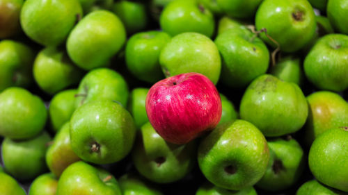 Full frame shot of apples