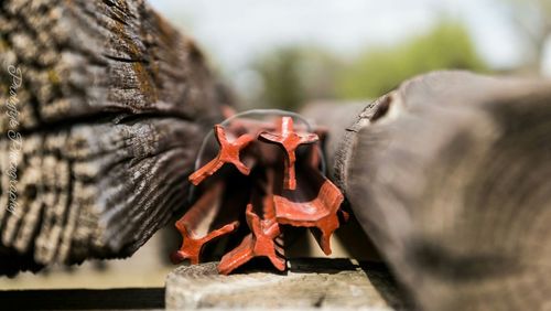 Close-up of wood and girders