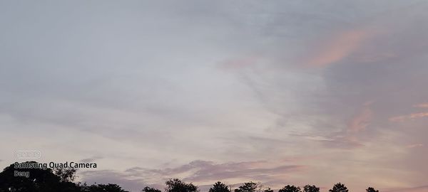 Low angle view of silhouette trees against sky