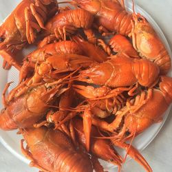 Directly above shot of lobsters in plate