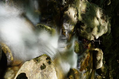 Sunlight falling on rocks in forest