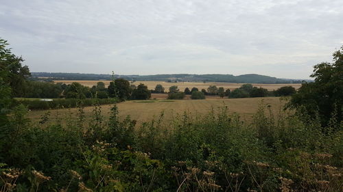 Scenic view of field against sky