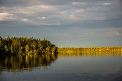 Scenic view of lake by trees against sky