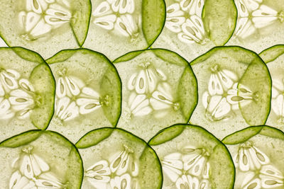 Full frame shot of thin slices of cucumber lit from behind