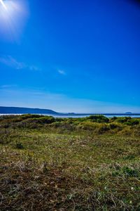 Scenic view of landscape against blue sky