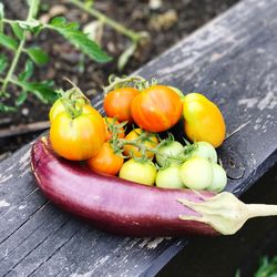 Close-up of tomatoes on wood