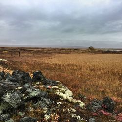 Scenic view of field against cloudy sky