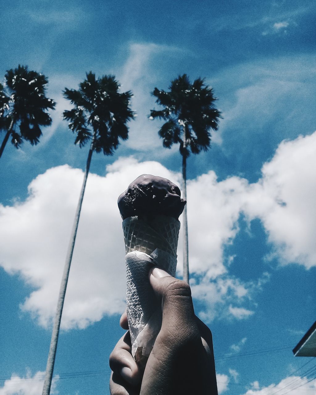 hand, human hand, real people, one person, cloud - sky, holding, human body part, sky, unrecognizable person, personal perspective, lifestyles, nature, day, leisure activity, body part, low angle view, outdoors, finger, human finger, human limb