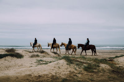 Side view of horse ride on beach